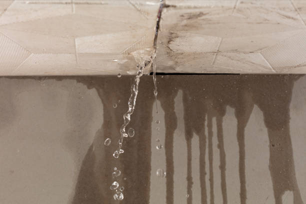 Professional Water Damage Repair technician working in Itasca, TX